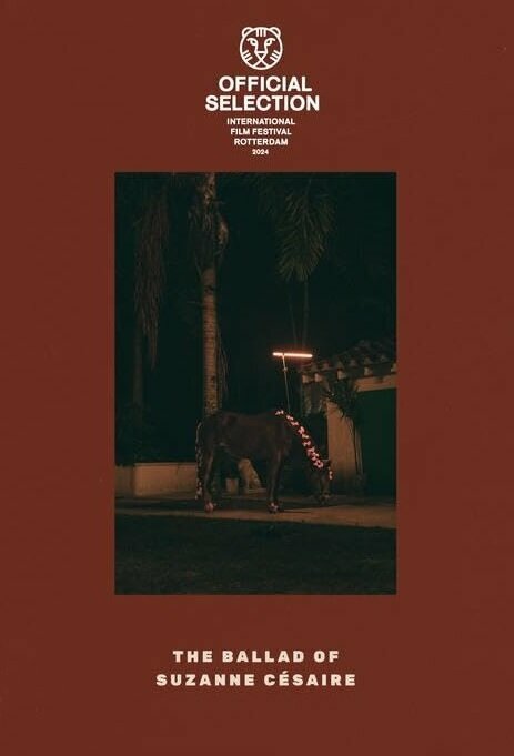  Баллада о Сюзанн Сезер смотреть онлайн без регистрации (2024) в хорошем HD качестве 